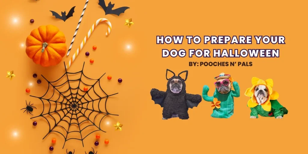 dog-for-hallowen