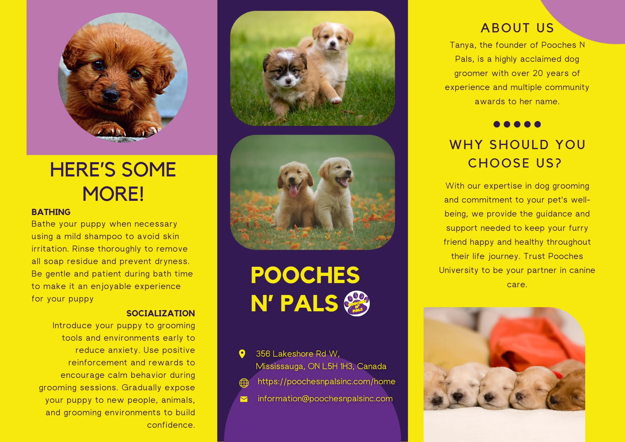 pooches n pals inc