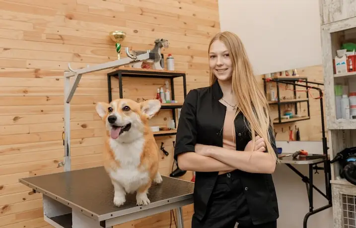 pet grooming