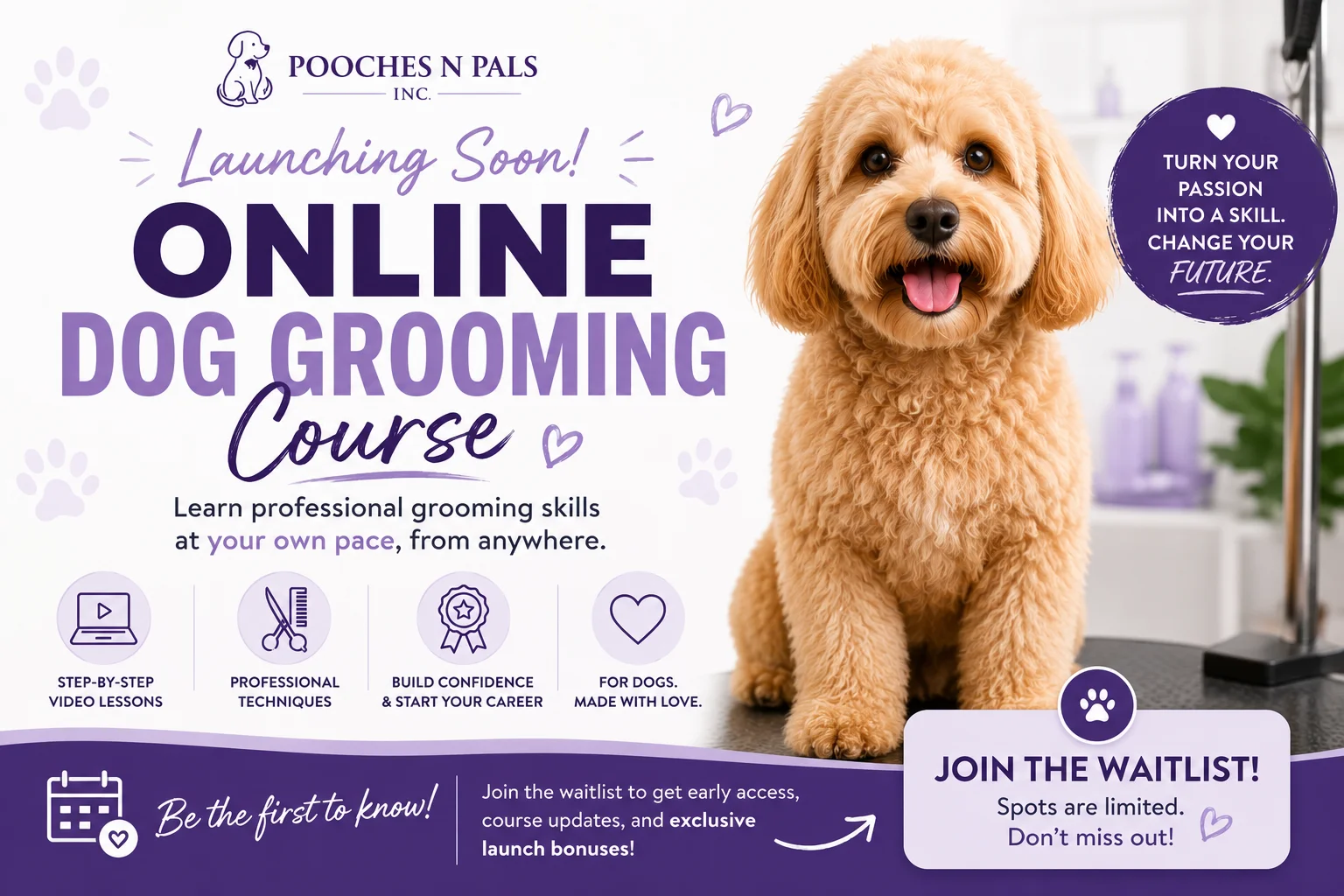 pooches n pals