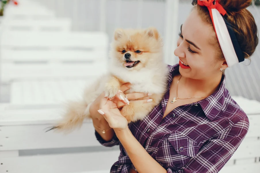 pooches n pals